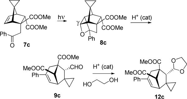 Scheme 8