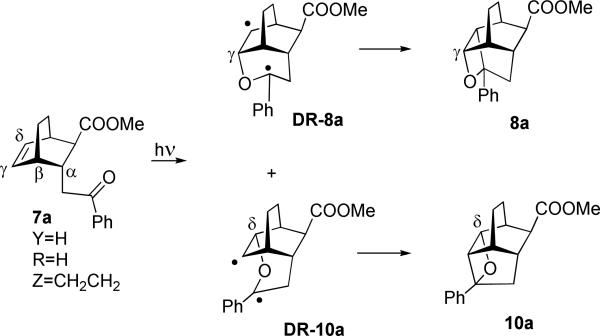 Scheme 3