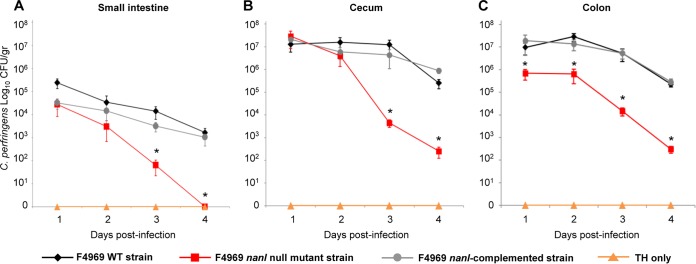 FIG 2