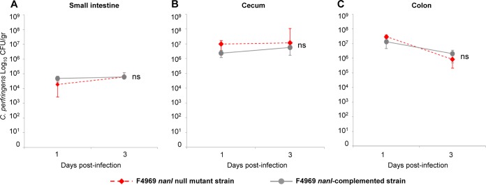 FIG 6