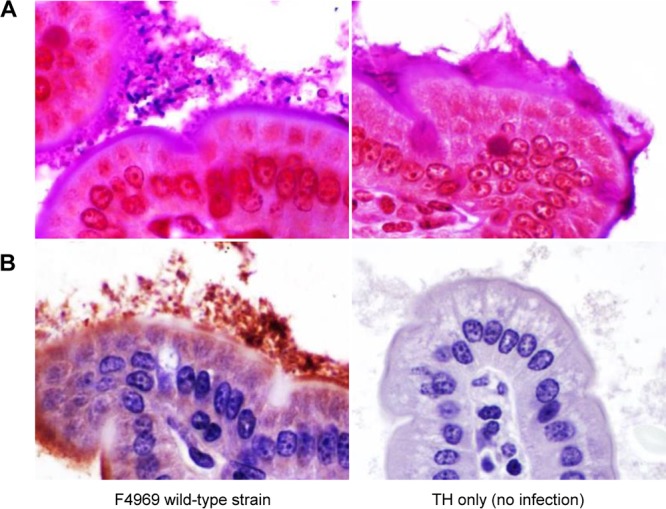 FIG 3