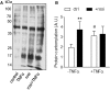 Fig. 8.