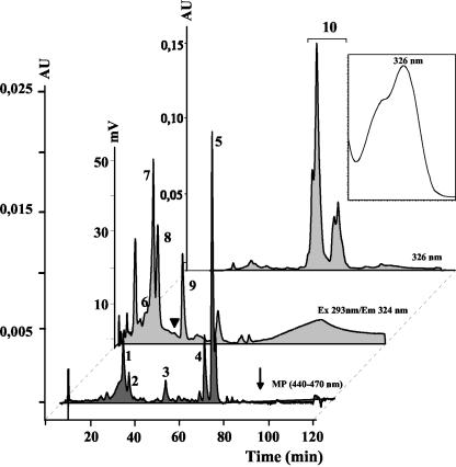 Figure 4.