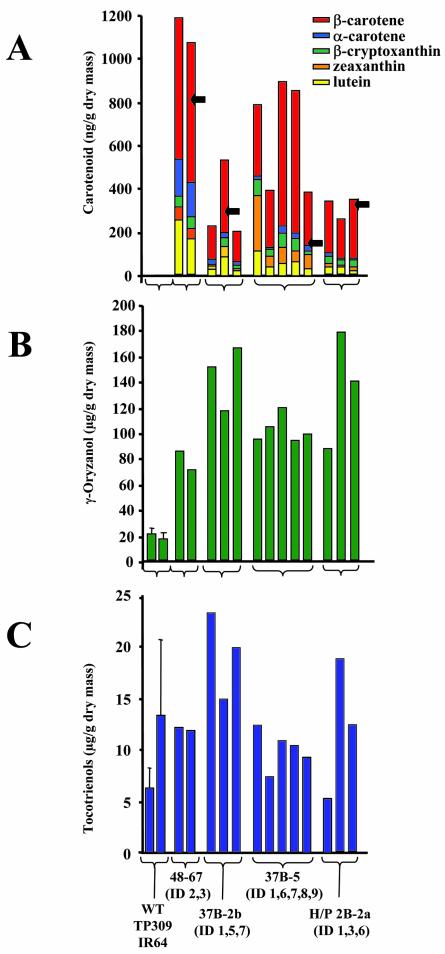 Figure 7.