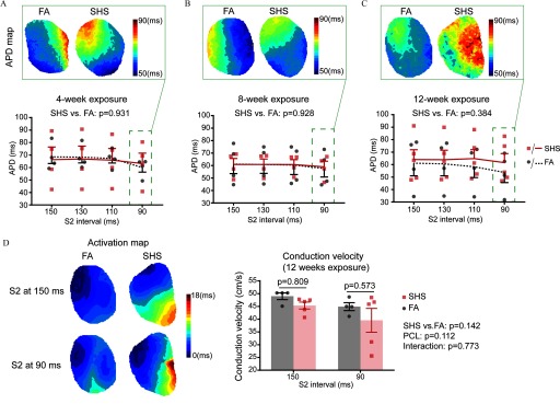 Figures 1A, 1B, and 1C are APD activation maps for the SHS and FA groups after 4, 8, and 12 weeks exposure, respectively. Figures 1A, 1B, and 1C also comprise a graph each plotting APD in millisecond (y-axis) across S2 interval in millisecond (x-axis) also for the SHS and FA groups after 4, 8, and 12 weeks exposure, respectively. Figure 1D is an activation map for the SHS and FA exposure groups; 1D also comprise bar graphs plotting conduction velocity (centimeter per second) (y-axis) across S2 interval (for 150 ms, p equals 0.809; for 90 ms, p equals 0.573) (millisecond) (x-axis).