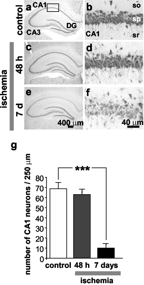 Fig. 9.