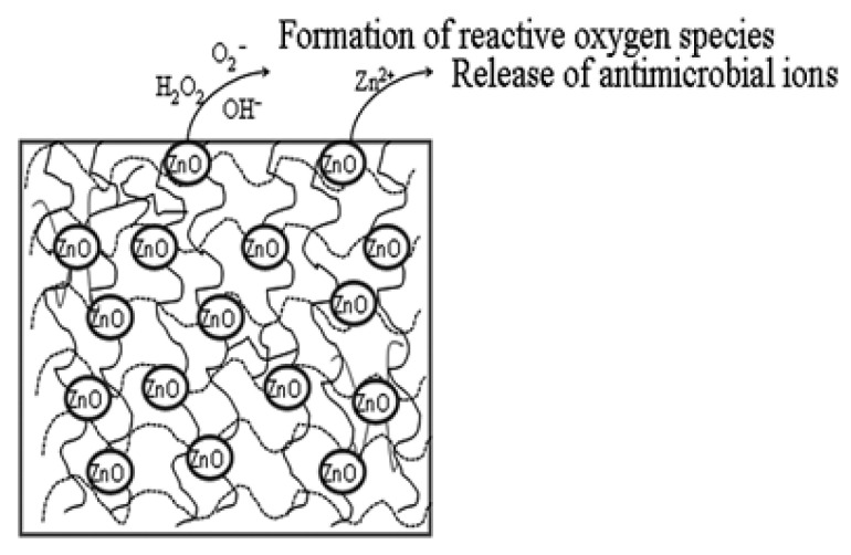 Scheme 3