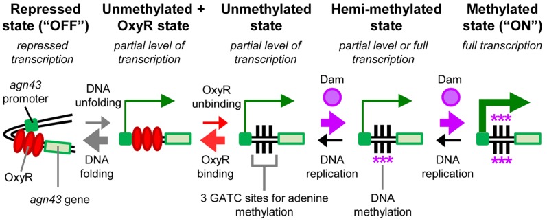 Figure 1.