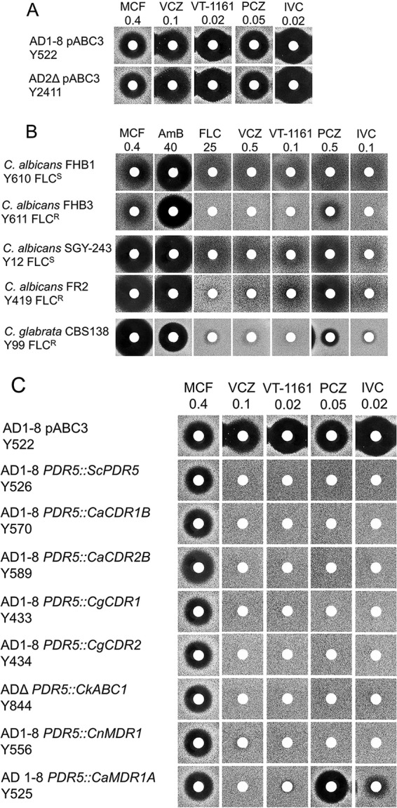 FIG 1