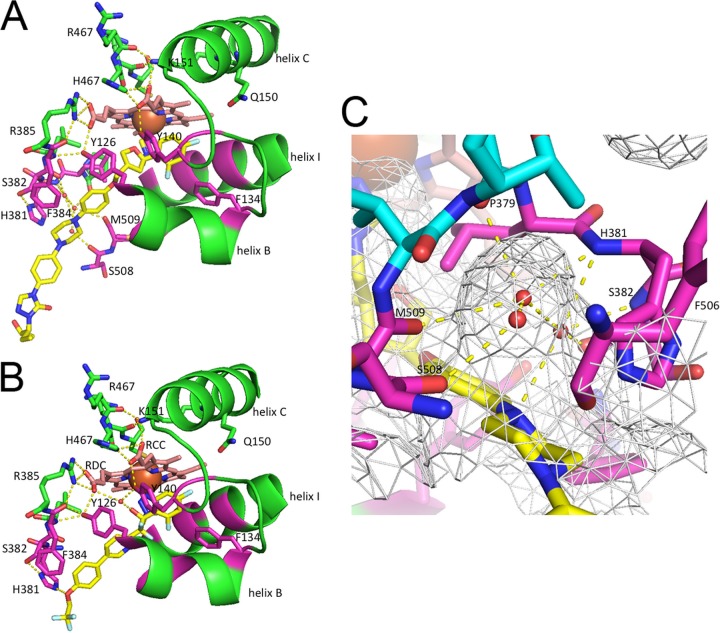 FIG 6