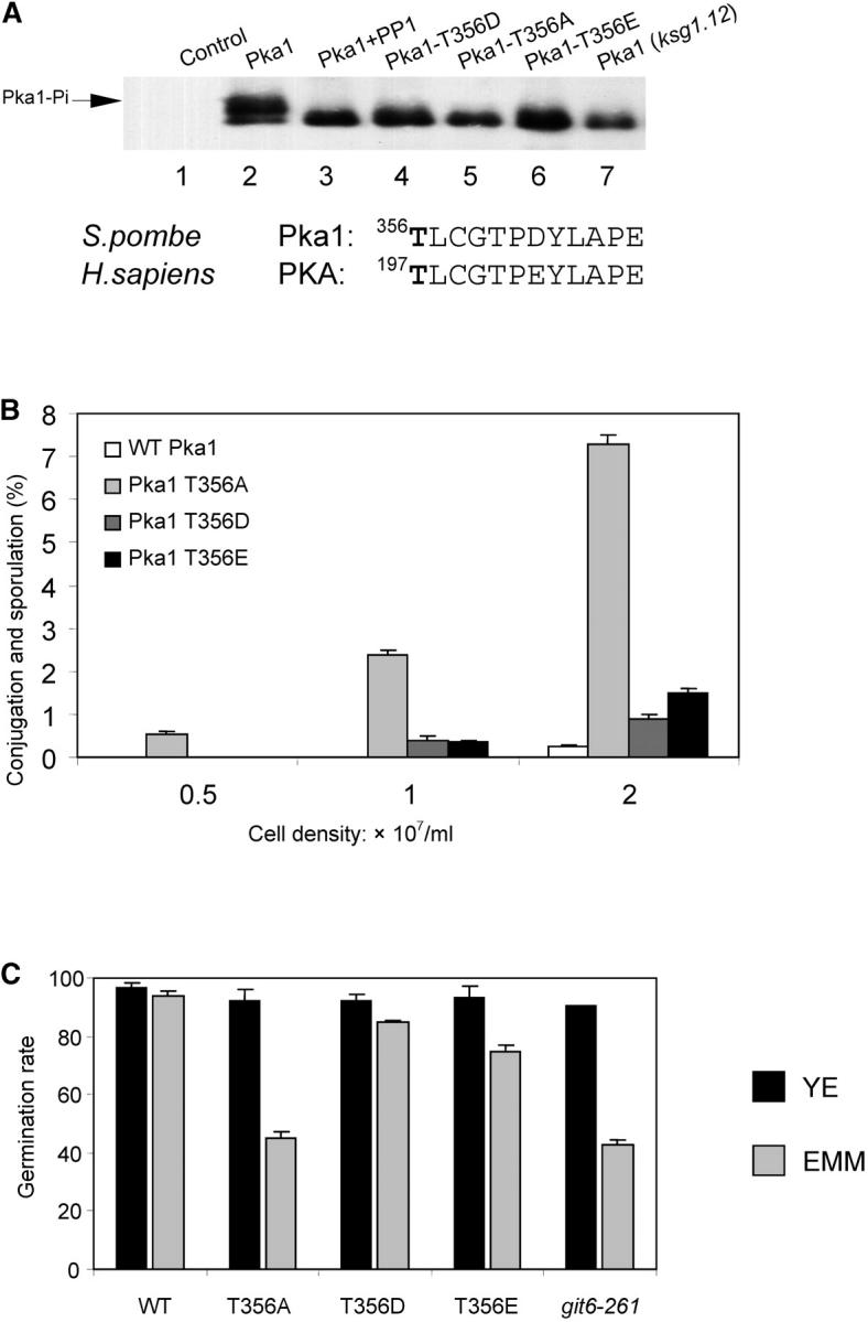 Figure 6.—