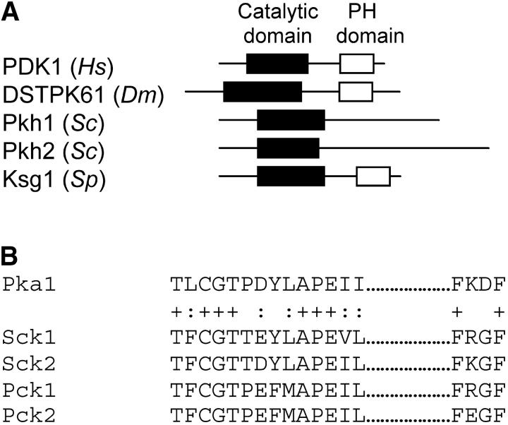 Figure 1.—