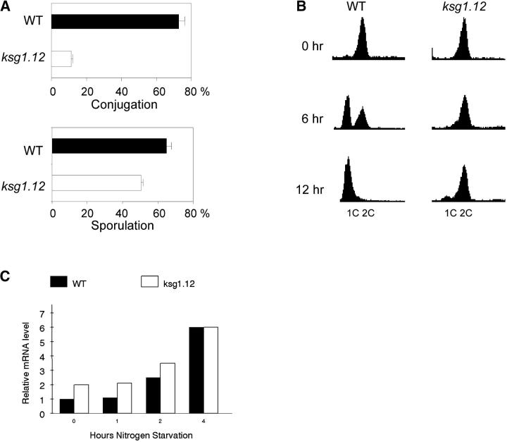 Figure 3.—