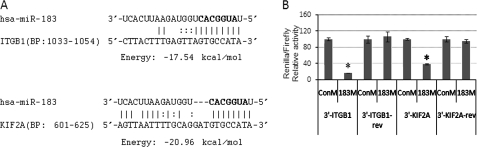 FIGURE 1.