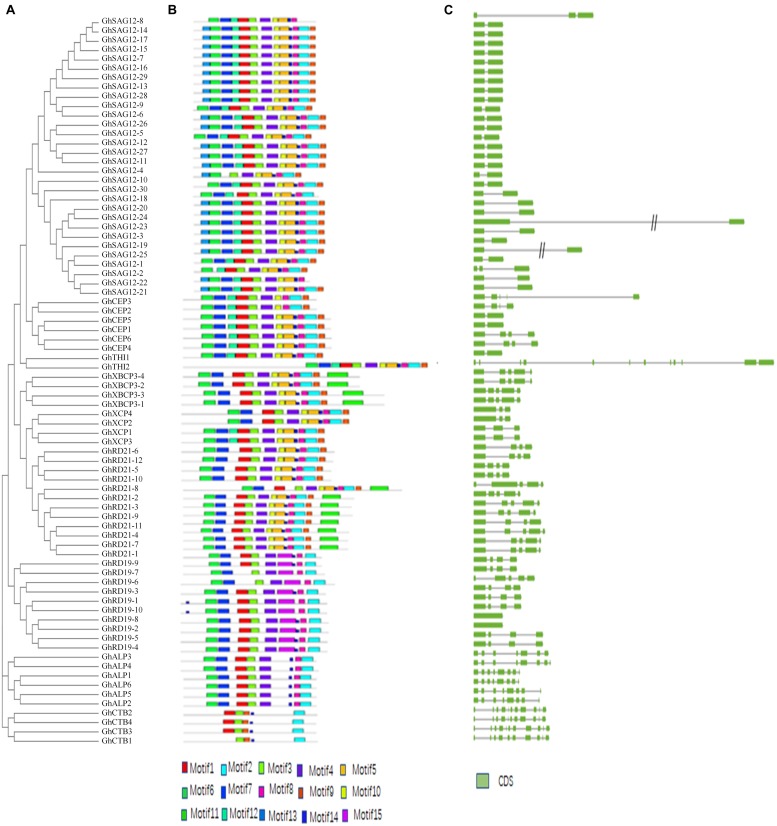 FIGURE 2