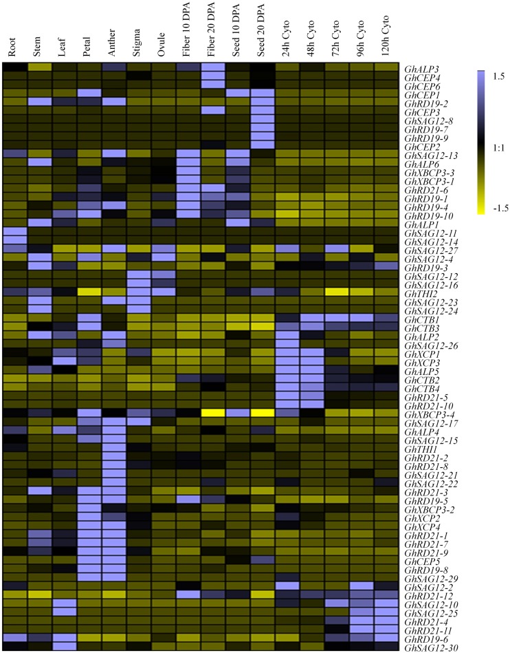 FIGURE 4