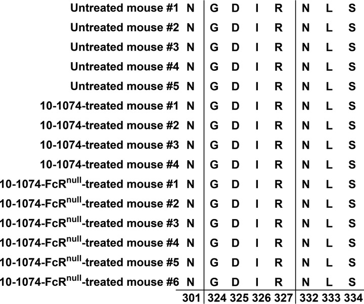 FIG 6