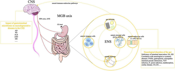 FIGURE 1