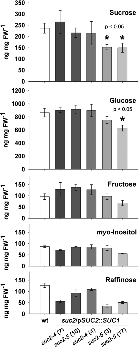 Fig. 7.