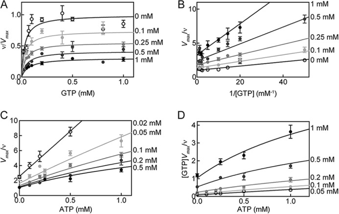 FIGURE 7.