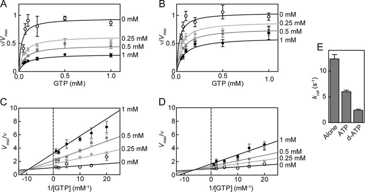 FIGURE 4.