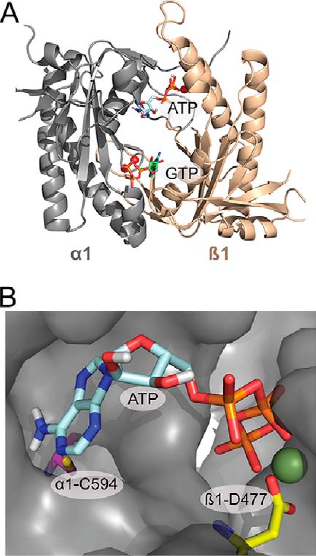 FIGURE 1.