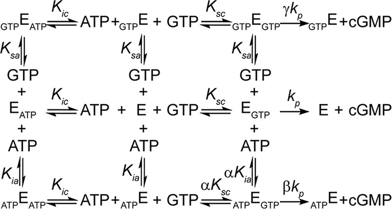 SCHEME 2.