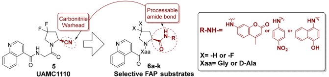 graphic file with name ml-2019-001912_0006.jpg