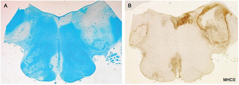 Figure 15.