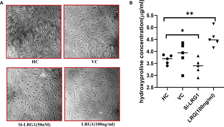 Figure 5