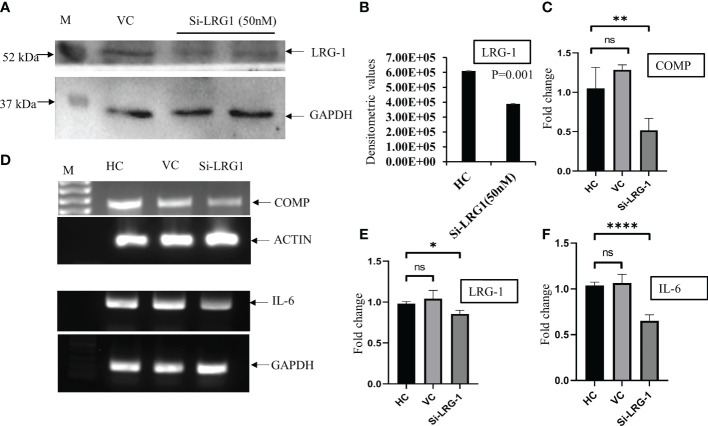 Figure 4