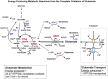 Figure 1A