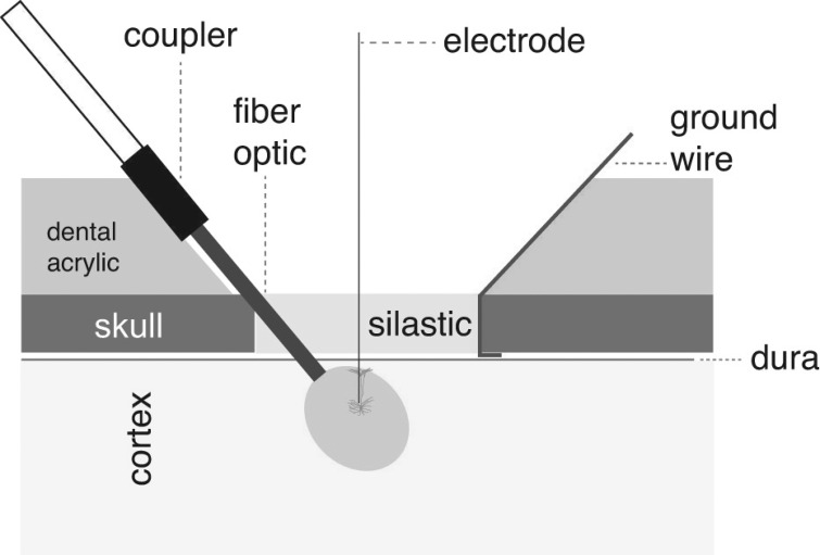 Fig. 1.