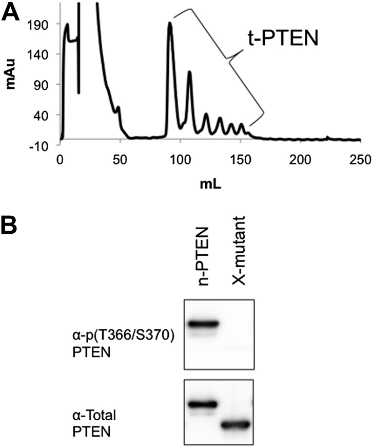 Figure 4—figure supplement 1.