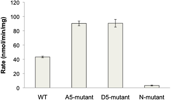 Figure 6—figure supplement 5.