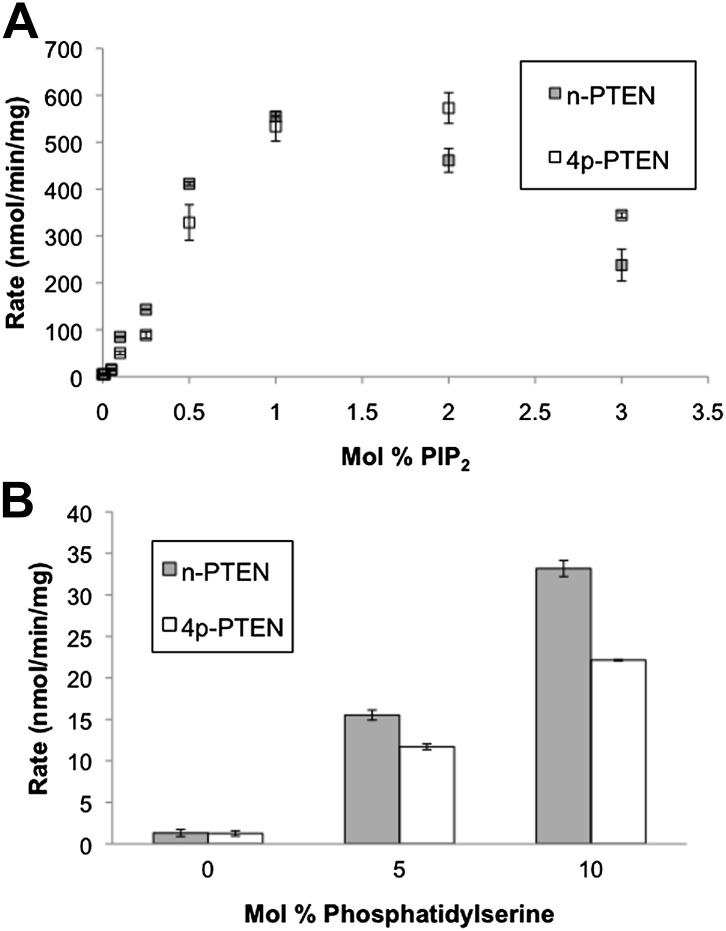 Figure 2—figure supplement 3.