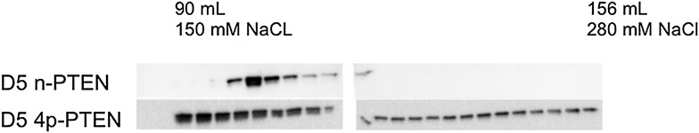 Figure 6—figure supplement 4.