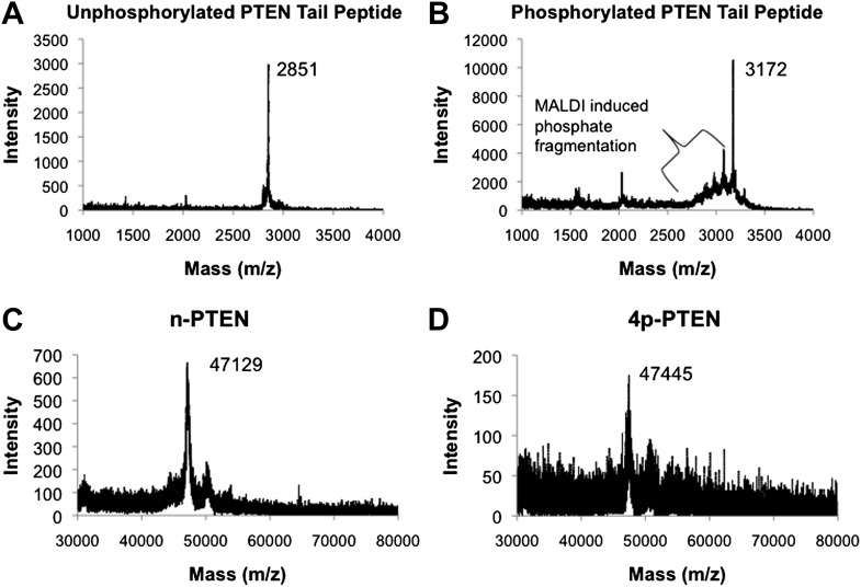 Figure 1—figure supplement 2.