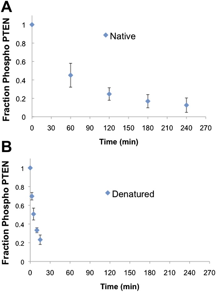 Figure 4—figure supplement 2.