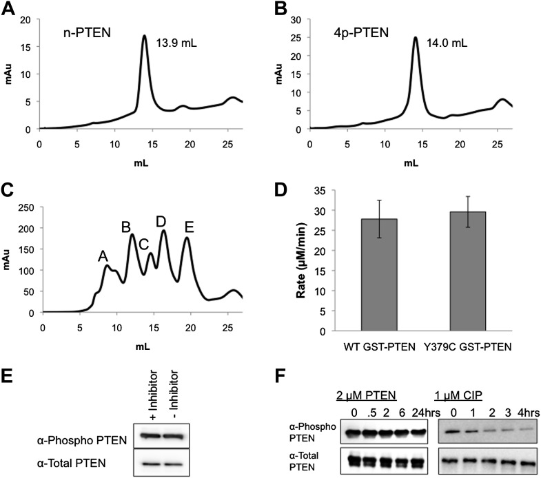 Figure 1—figure supplement 3.