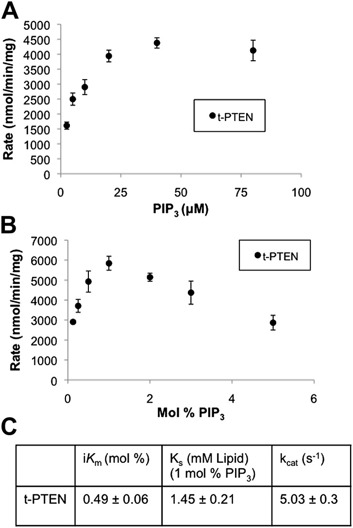 Figure 2—figure supplement 2.