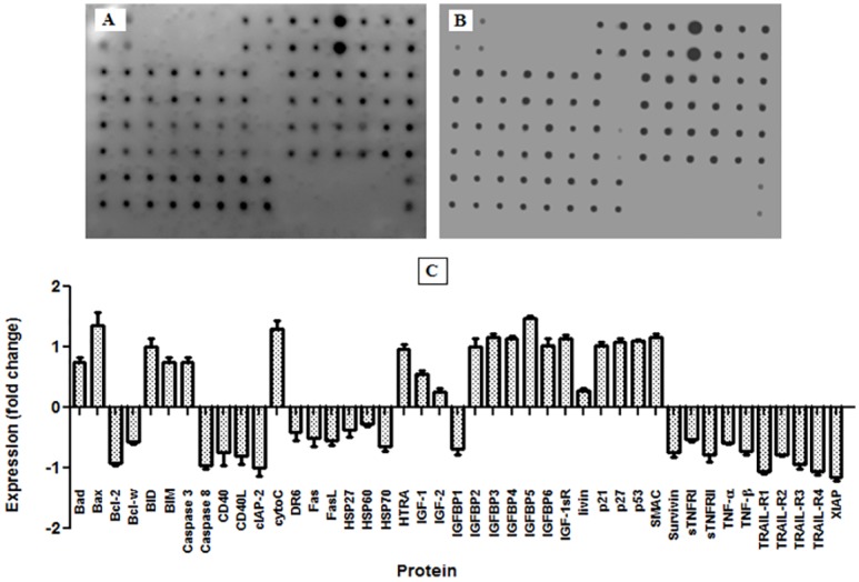 Fig 9