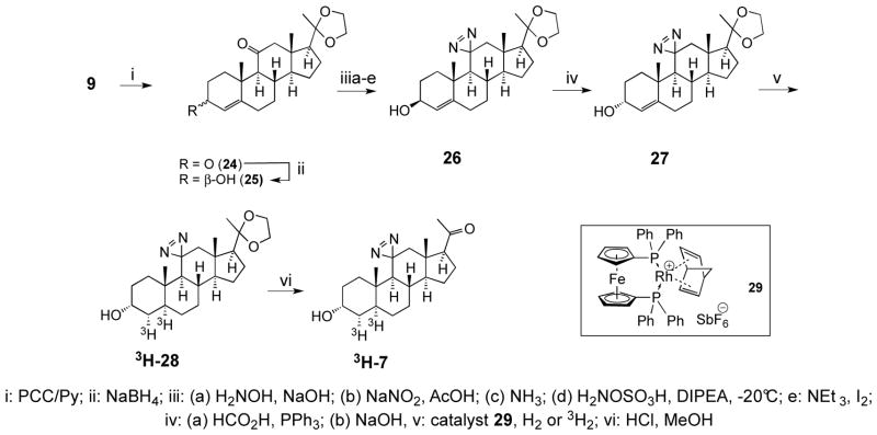 Scheme 4