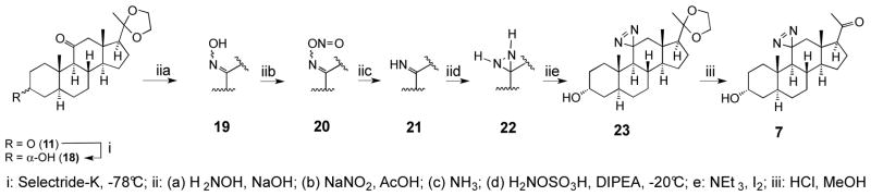 Scheme 3