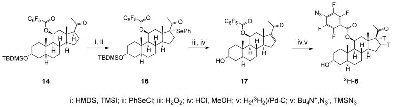 Scheme 2