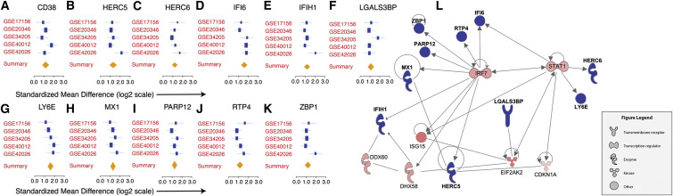 Figure 3