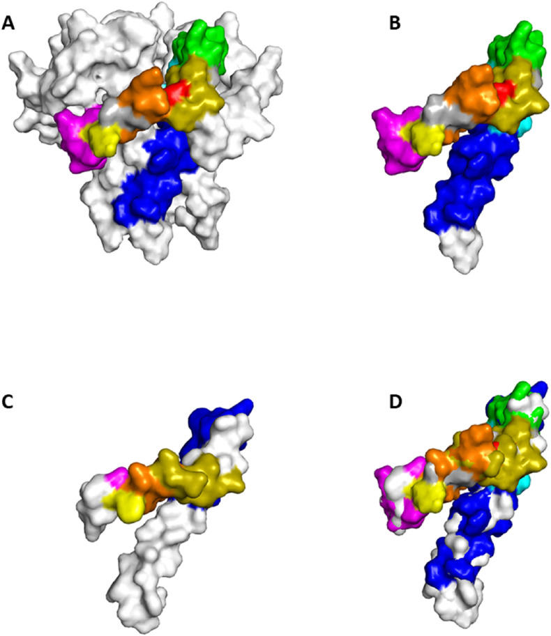 Fig. 2