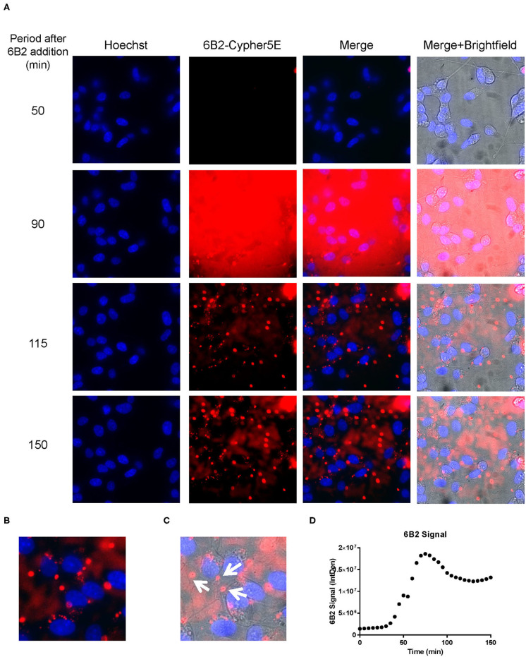 Figure 6