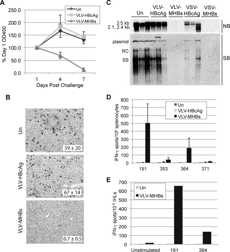 FIG 4