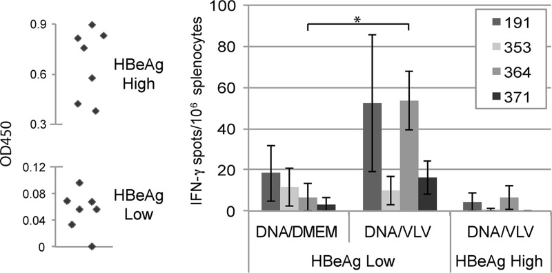 FIG 6